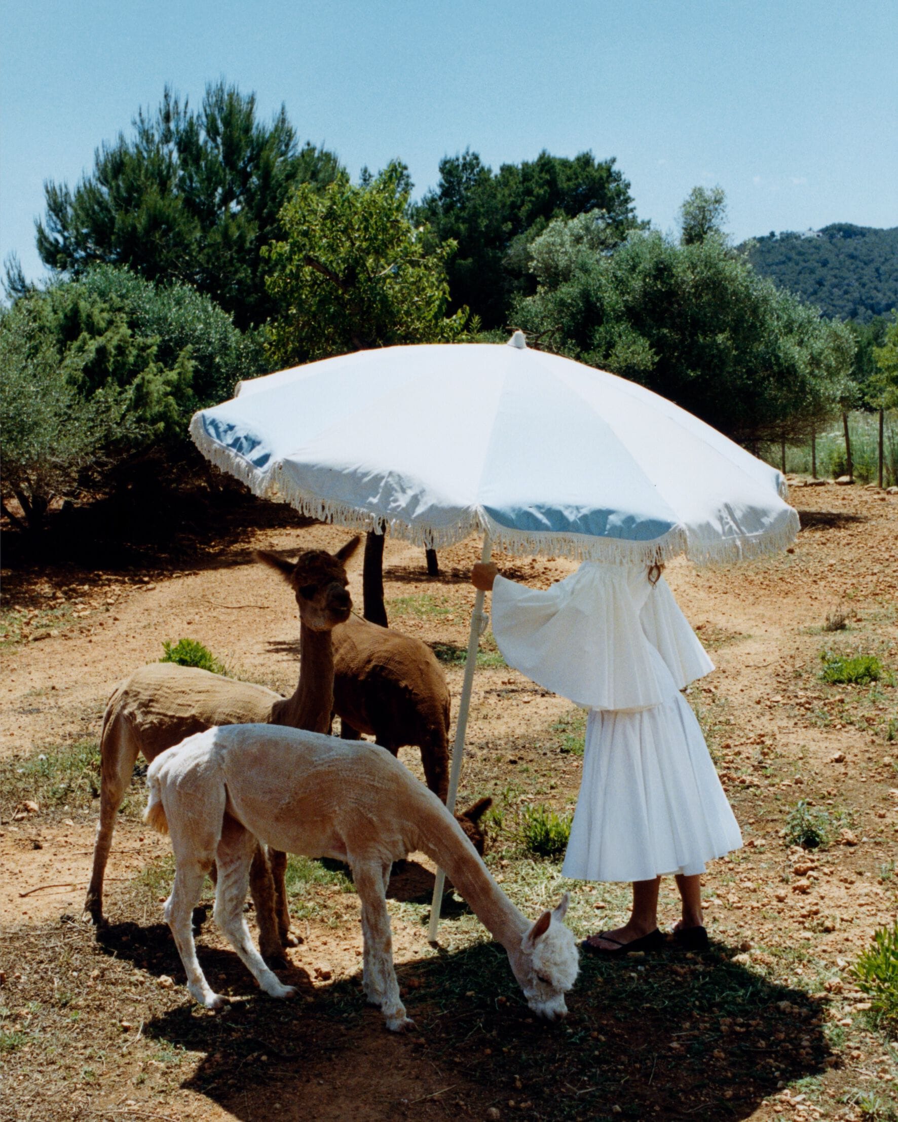 JACQUEMUS | Official Store | Bags, Clothing & Accessories