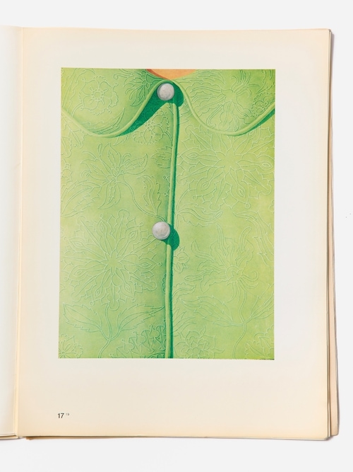 Domenico Gnoli - "Suite 31"