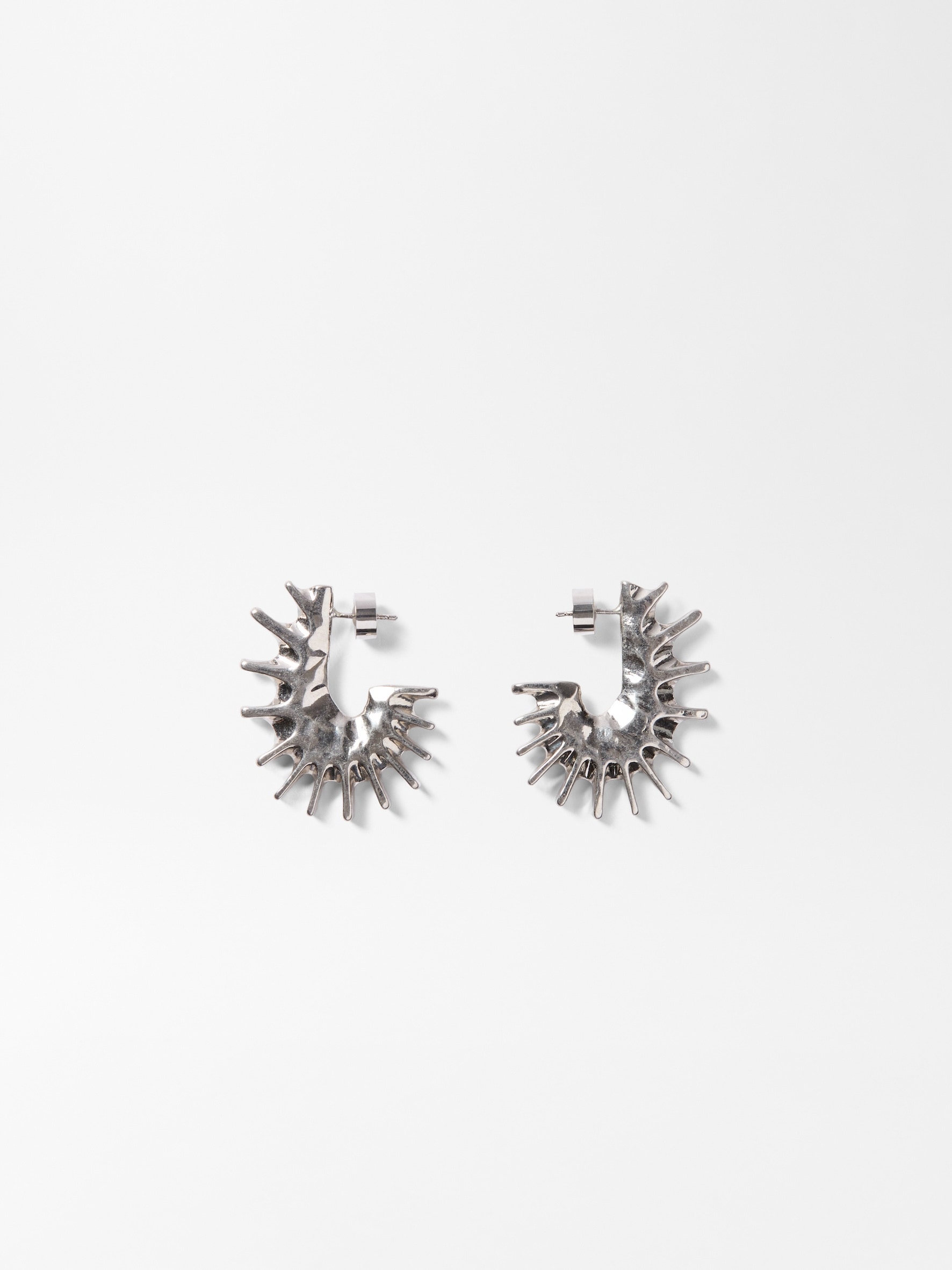 LES BOUCLES HIPPOCAMPE