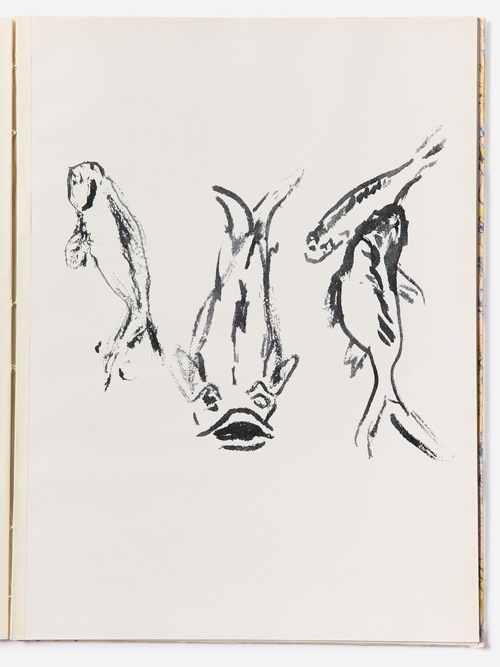 Verve - Vol. V - N&deg;17/18