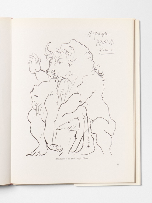 "Picasso" - Gaston Diehl