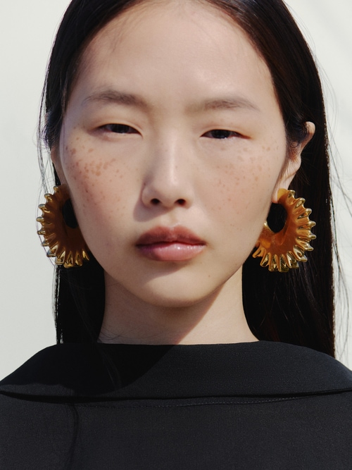 Die Hippocampe Creolen