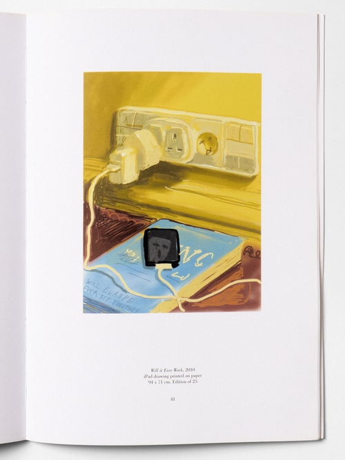 "Pictures of daily life" - David Hockney