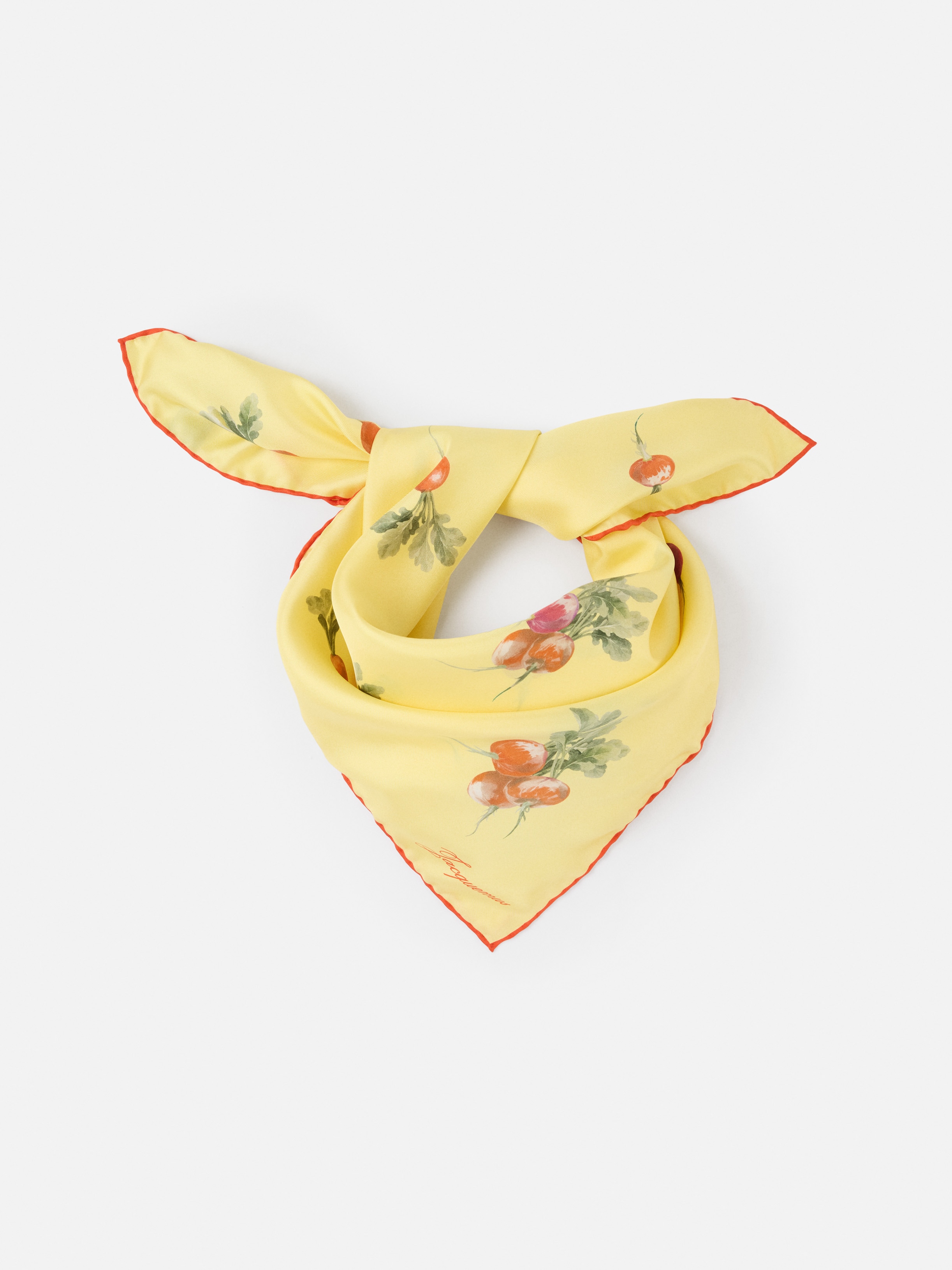 LE FOULARD RADIS