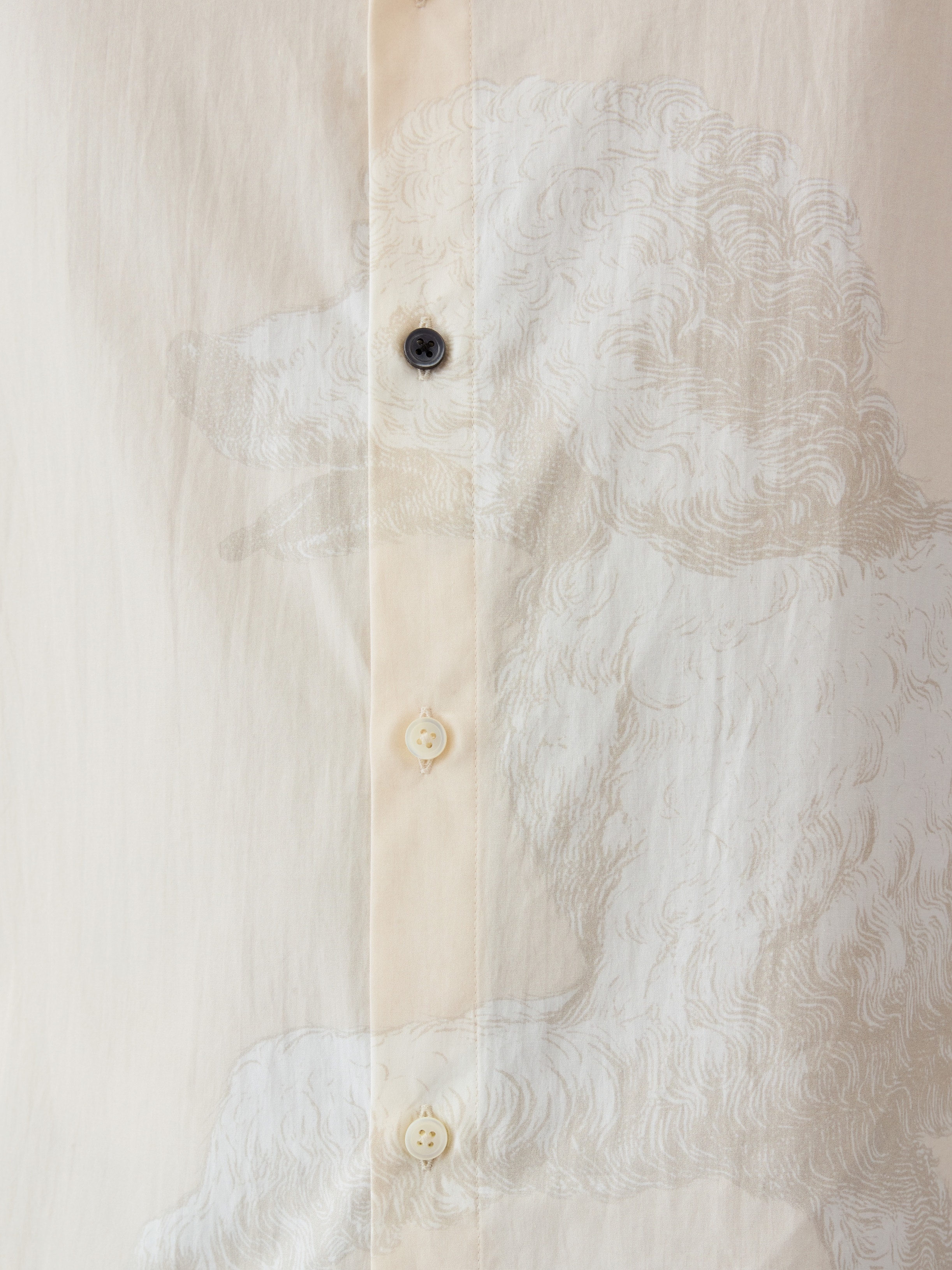 LA CHEMISE PISCO
