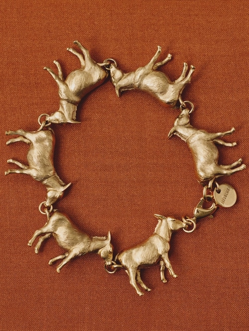 Le bracelet &Acirc;nes