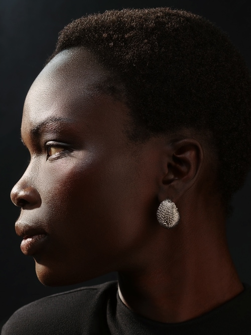 The H&eacute;risson earrings