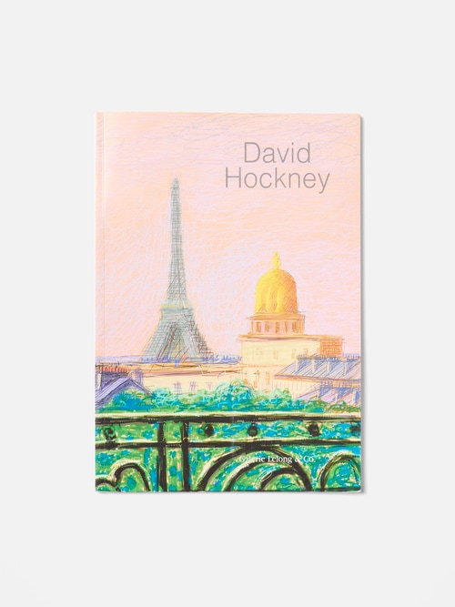 "Pictures of daily life" - David Hockney