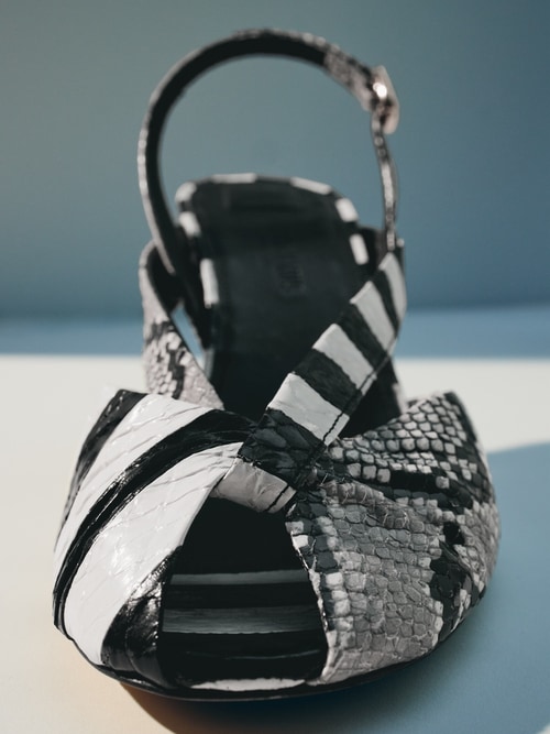 Die Poisson Slingbacks