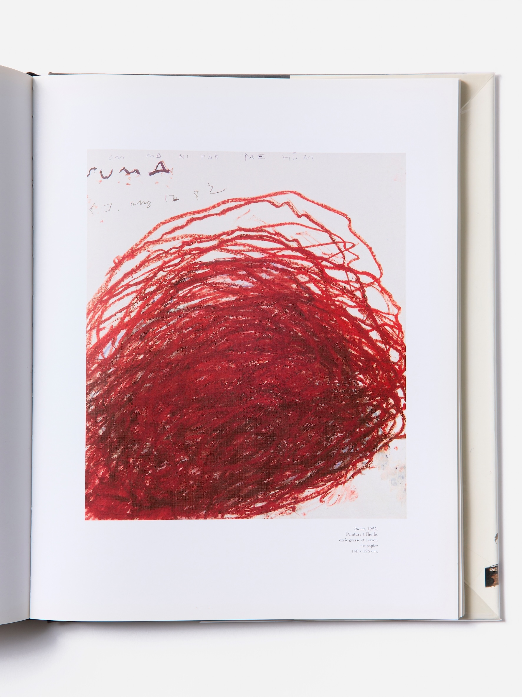 CY TWOMBLY - ED DU REGARD