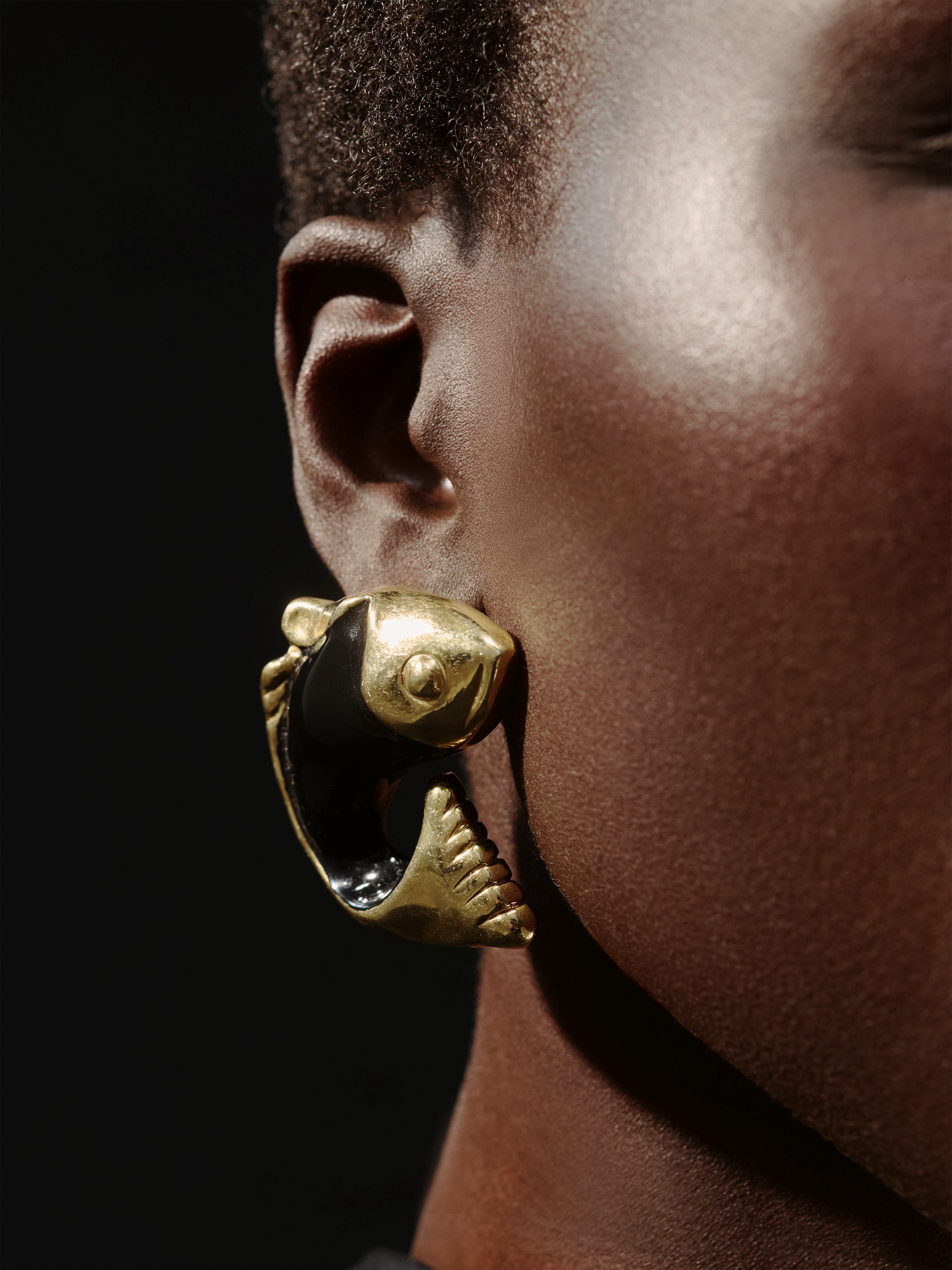LES BOUCLES POISSON
