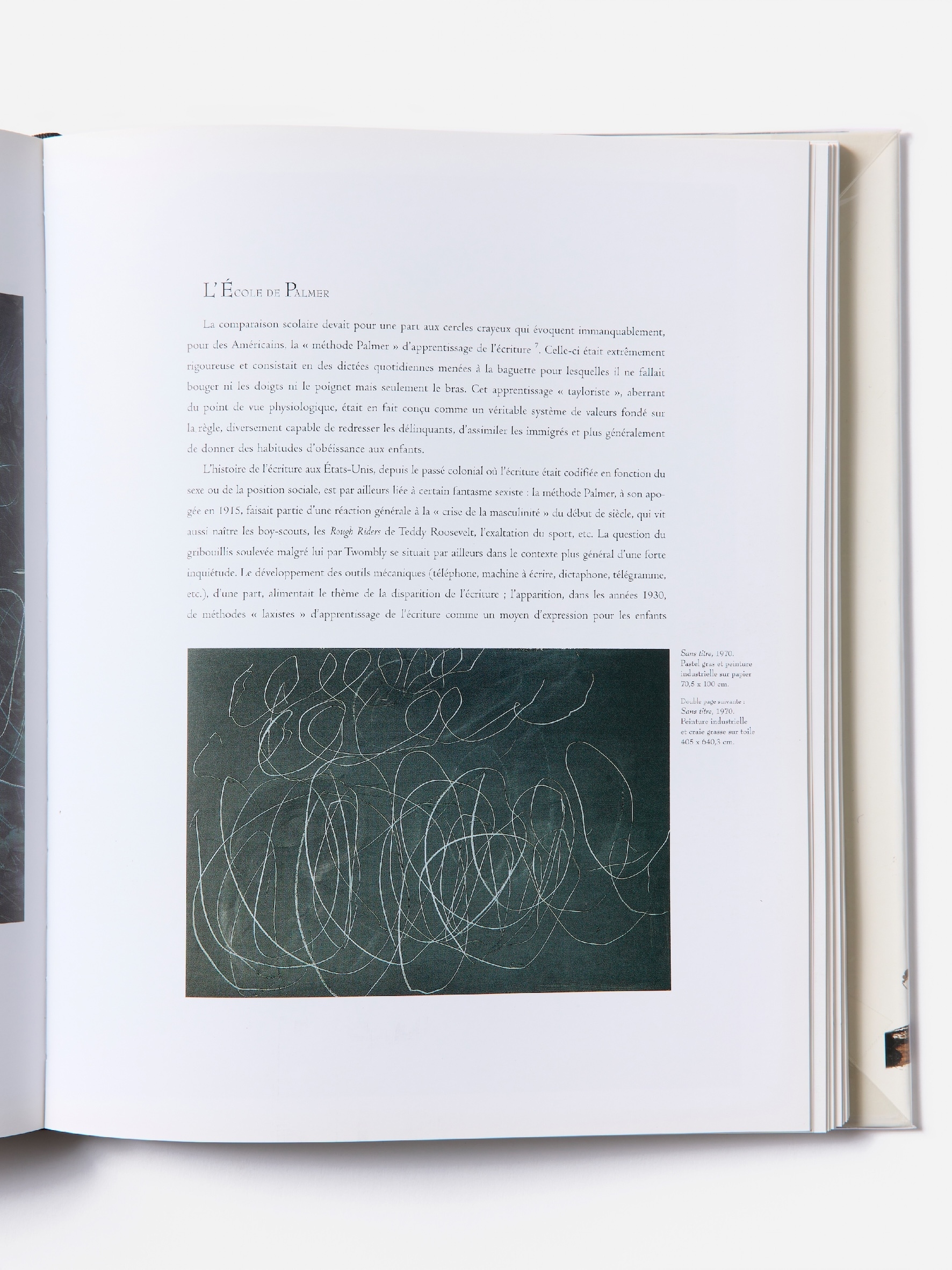 CY TWOMBLY - ED DU REGARD