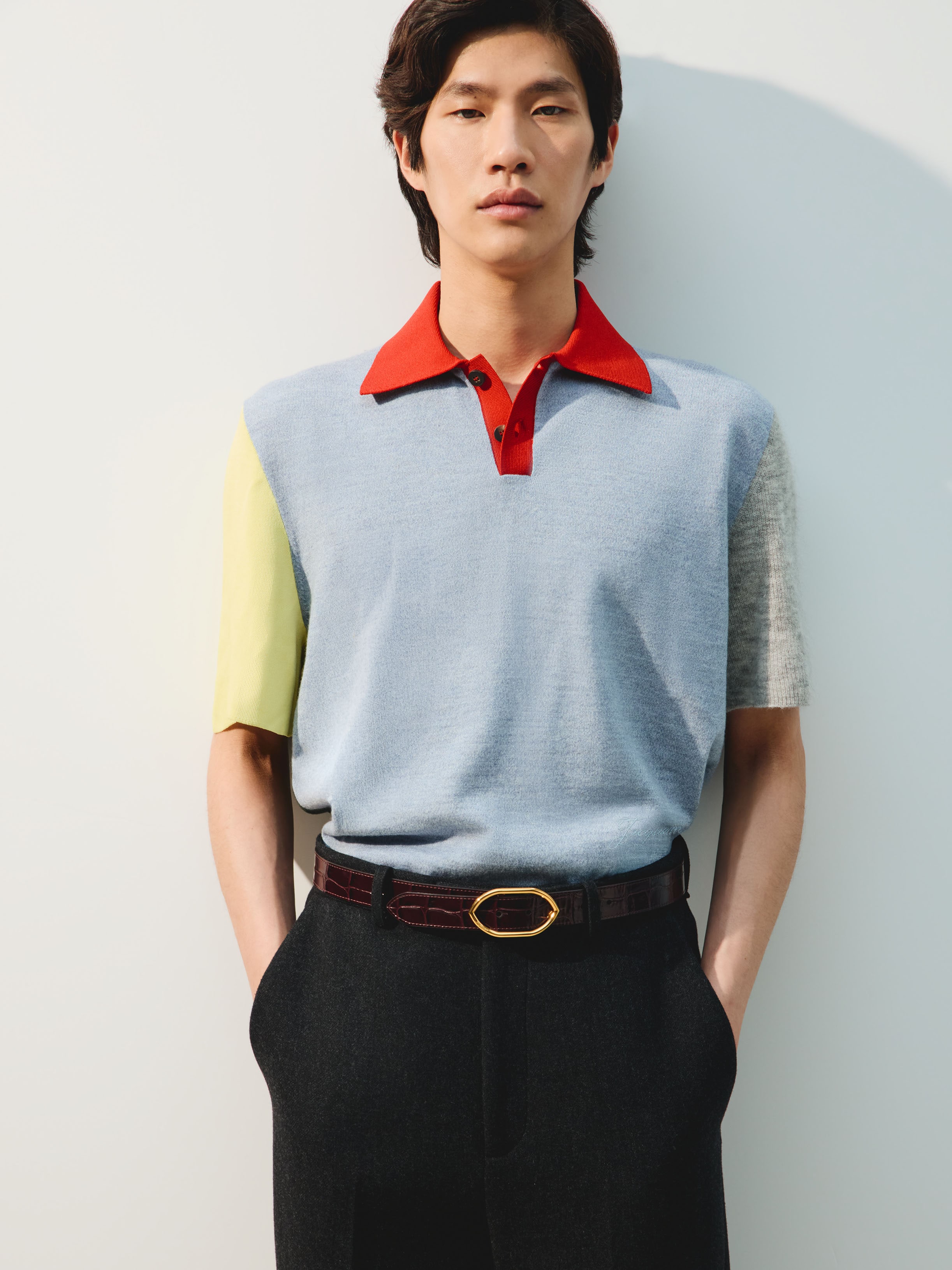 LE POLO ARLEQUIN