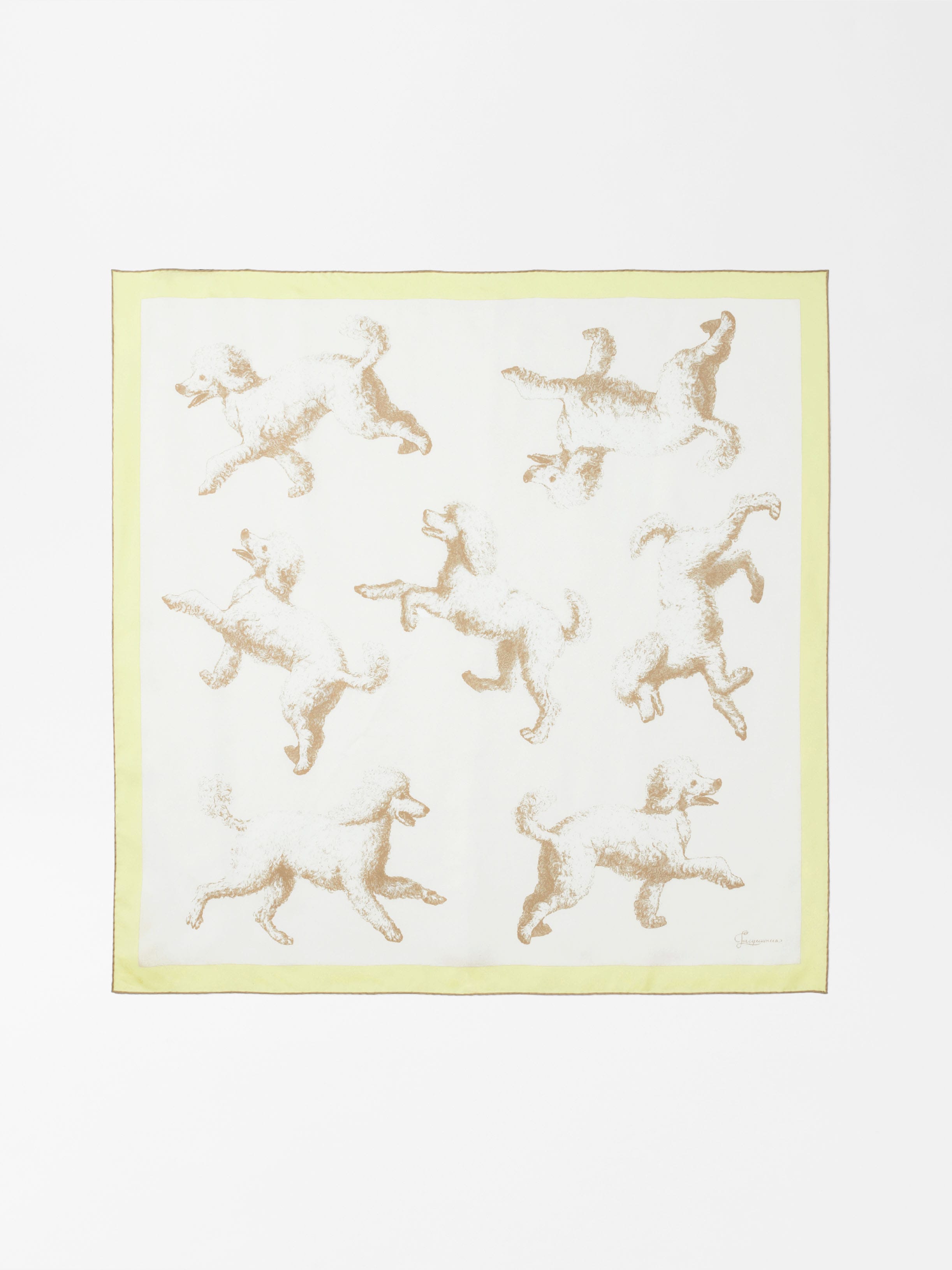 LE GRAND FOULARD CANICHE