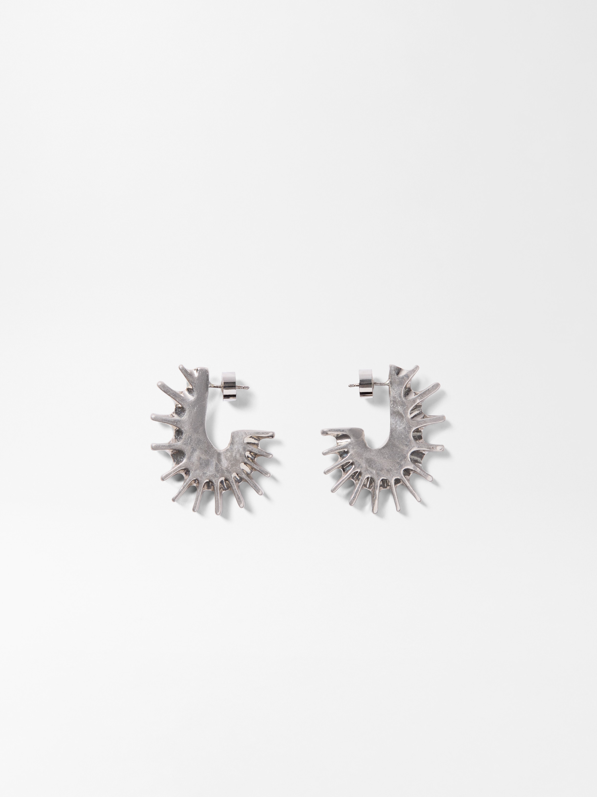 LES BOUCLES HIPPOCAMPE