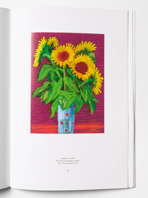 "Pictures of daily life" - David Hockney
